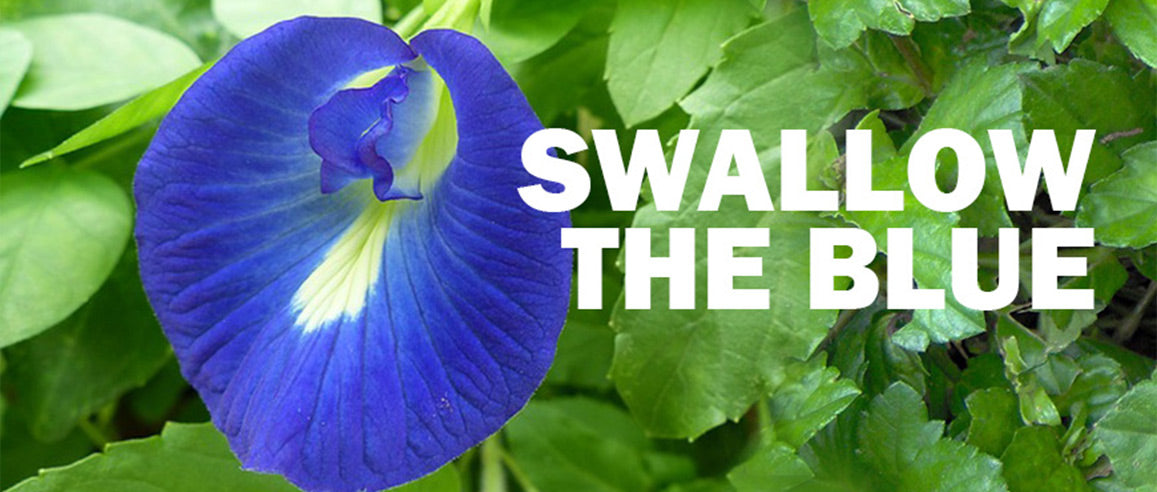 “Follow the blues” is the latest cricketing slogan in India.