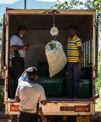 Smallholder Partnerships