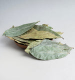 Organic Soursop Leaf