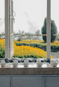 Custom Formulation & Development